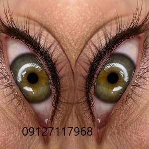 IMG 20221026 WA0134