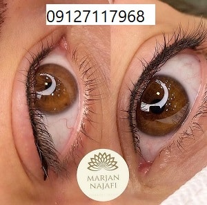 بن مژه دائم 17 فیکانتور-چشم