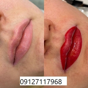 تاتو لب به روش میکروبلیدینگ 16 IMG 20221118 WA0049