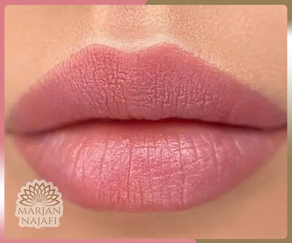 شیدینگ لب رنگ گوشتی 2 شیدینگ لب رنگ گوشتی