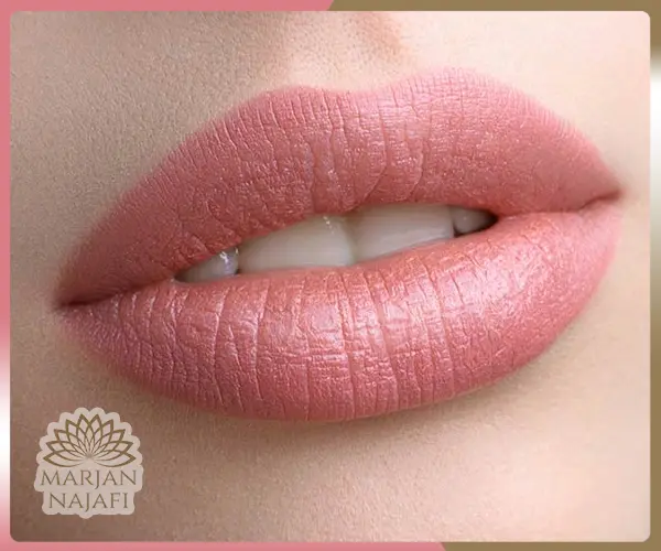 شیدینگ لب رنگ گوشتی 3 شیدینگ لب گوشتی در سالن مرجان نجفی