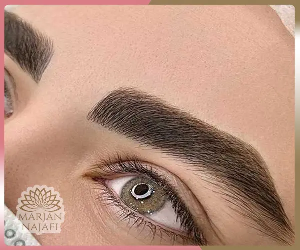مدل ابرو فیبروز پهن